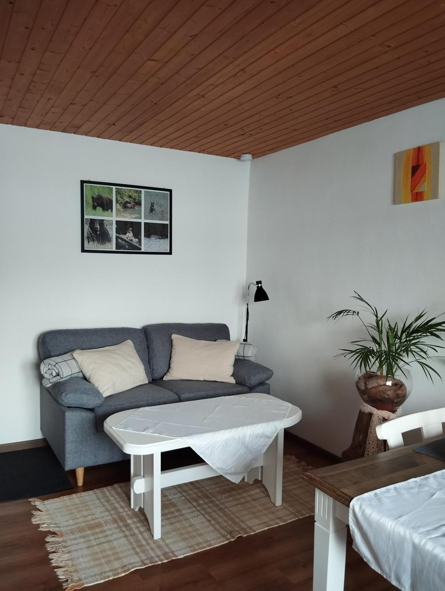 Ferienwohnung Karin Humer バート・イシュル エクステリア 写真